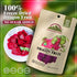 Himalayan Chef Freeze-Dried Dragon Crisp -10 Bags